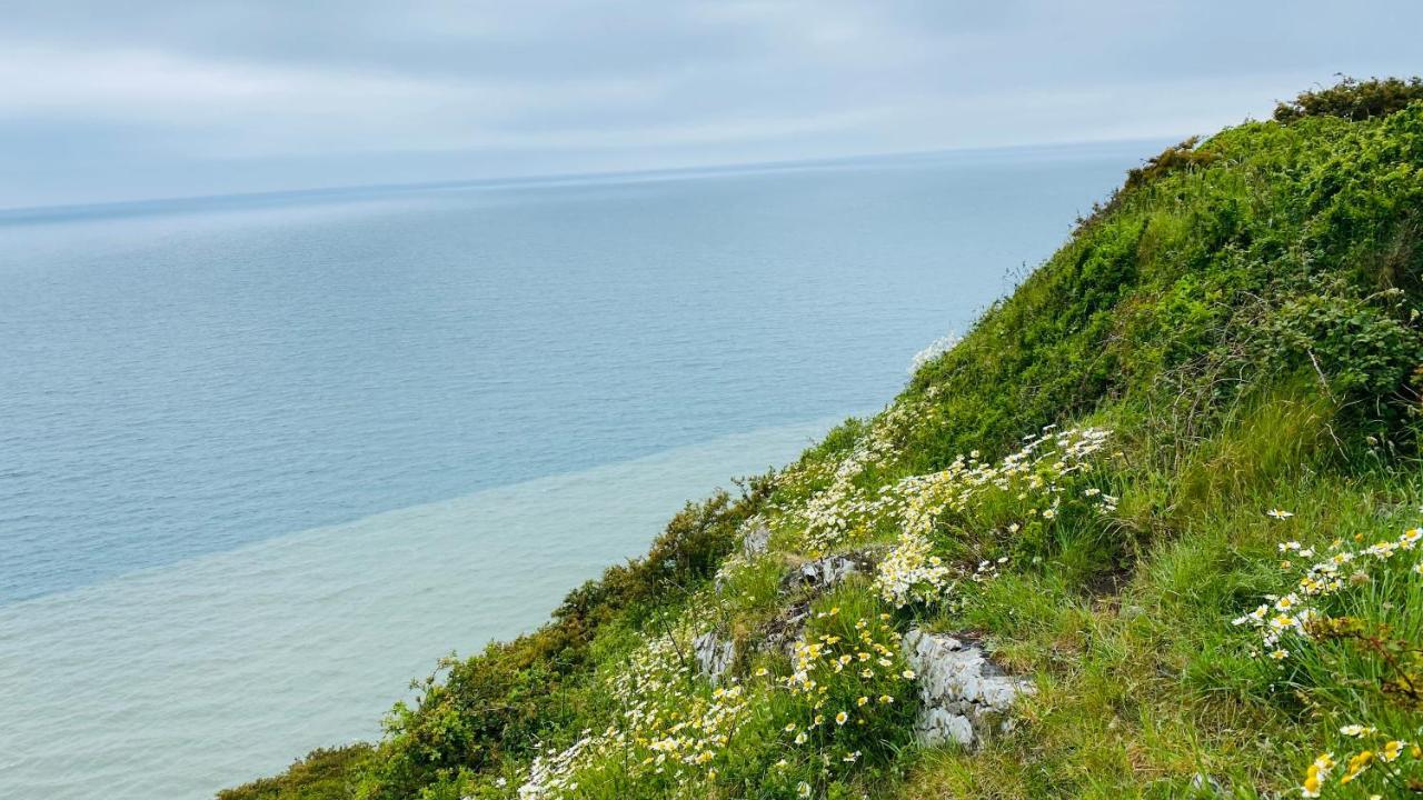 Gordy Hall -sea Facing Welsh With Stunning Views Holiday home